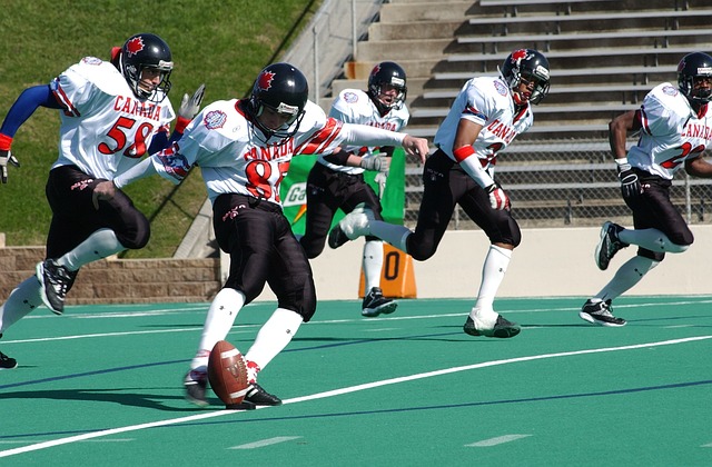 发展联盟中 发展联盟中