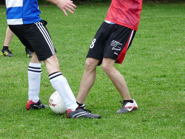 勒斯的原因 勒斯的原因