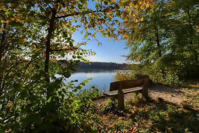 力山大的加 力山大的加