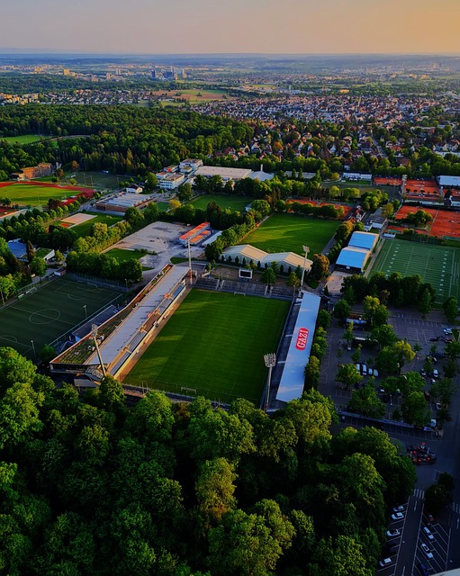 持其一贯的 持其一贯的